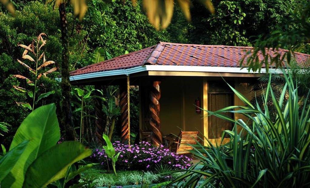 Hotel Catarata Rio Celeste Бихагуа Номер фото