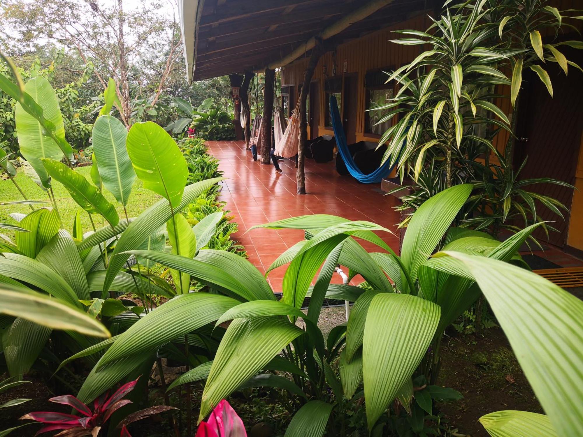 Hotel Catarata Rio Celeste Бихагуа Экстерьер фото